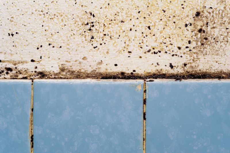 Mold Growth in Shower