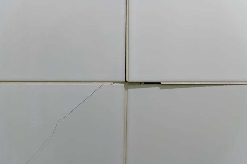 Damaged Tile Removal